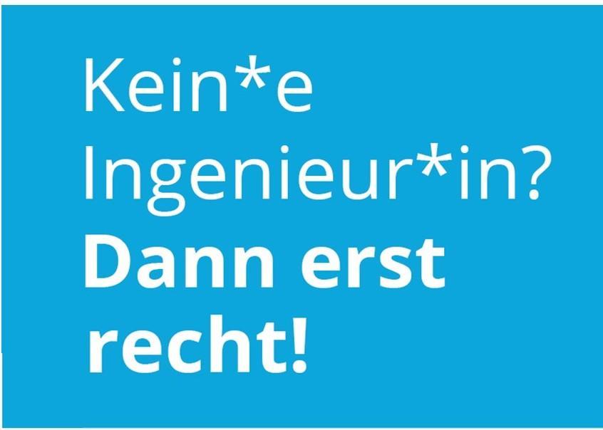 Kein*eIngenieu*in