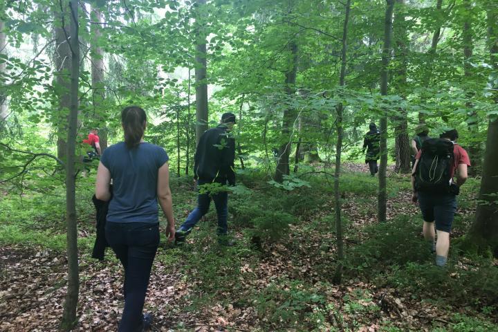 Regionalgruppe Ilmenau beim Geocaching im Wald